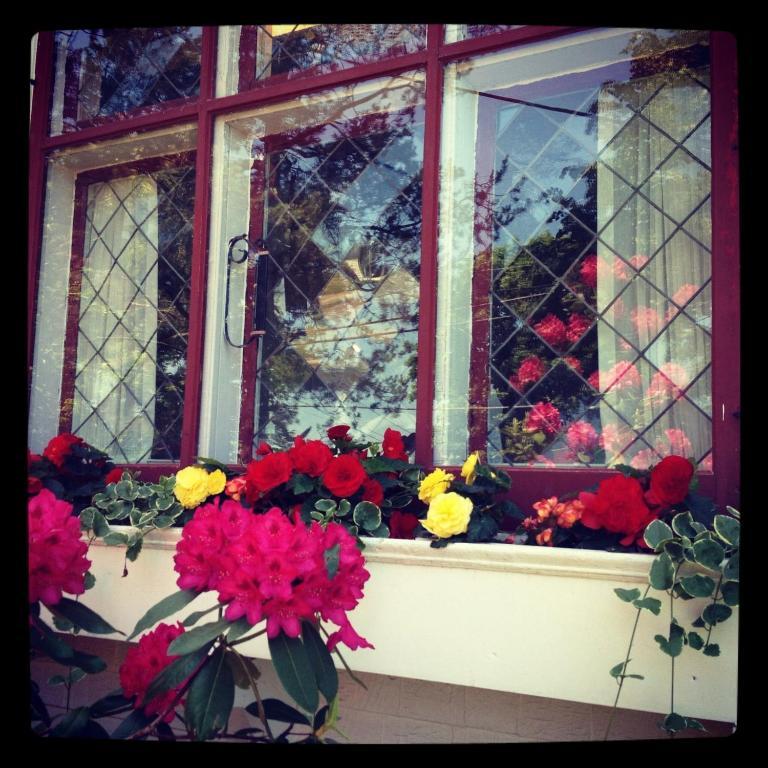 Belgravia B&B Truro Esterno foto